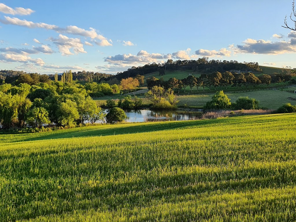 Fork & Hoe Farm |  | 26 Buckajo Rd, Buckajo NSW 2550, Australia | 0428081634 OR +61 428 081 634