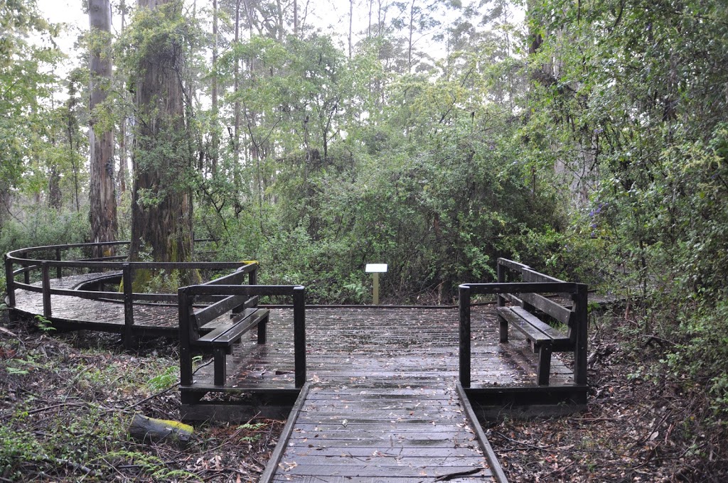 Big Tree Grove | park | Shannon WA 6262, Australia