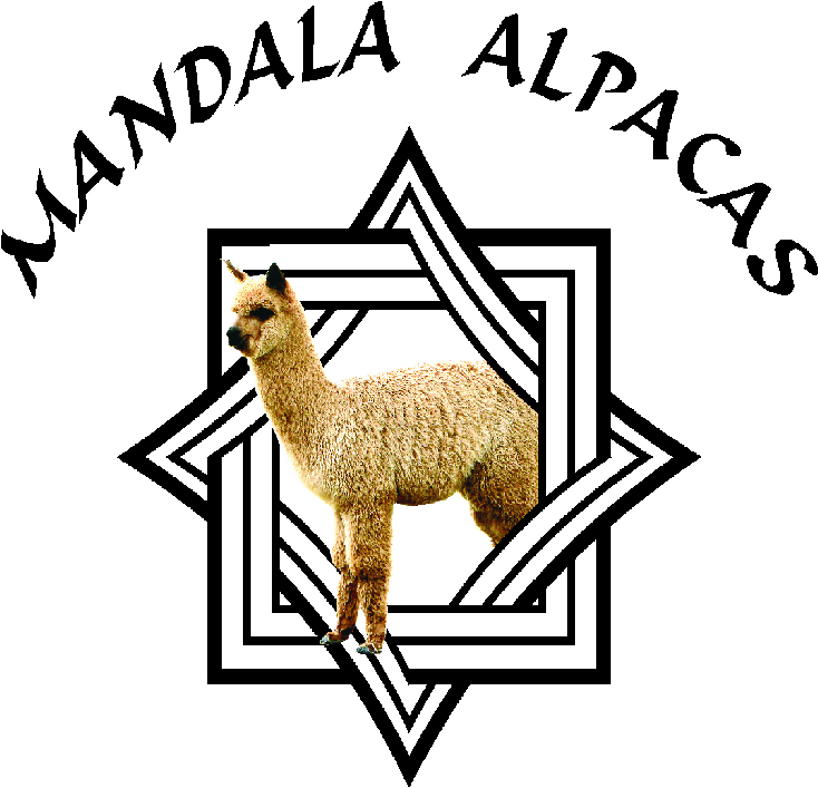 Mandala Alpacas | Kandara, 120 Windles Ln, Rylstone NSW 2849, Australia | Phone: 0410 577 667