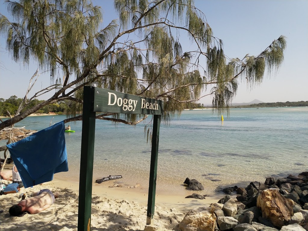 Dog Beach | park | Noosa Botanic Gardens, Claude Batten Dr, Noosa Heads QLD 4567, Australia | 0753296500 OR +61 7 5329 6500