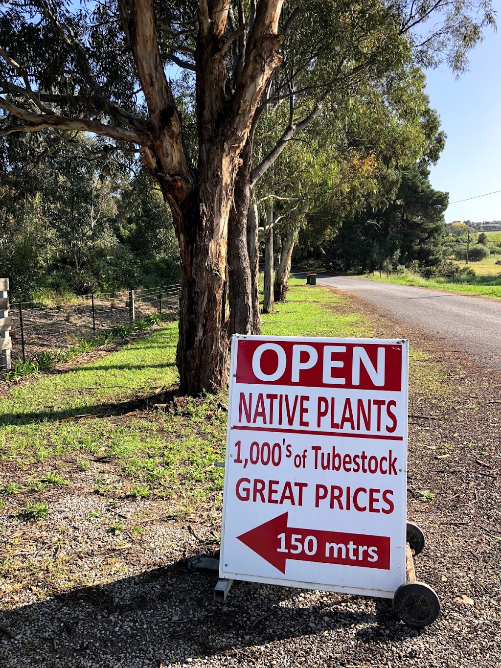 McLaren Vale Natives | 33 Stump Hill Rd, McLaren Vale SA 5171, Australia | Phone: 0414 303 424