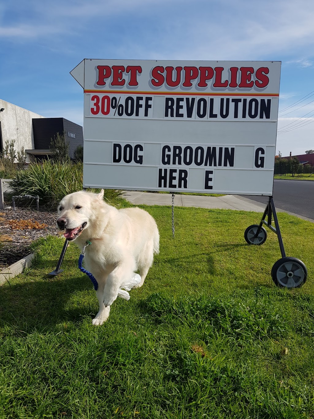 Dromana Dog Grooming | 2/3 Thomson Terrace, Dromana VIC 3936, Australia | Phone: 0407 171 258