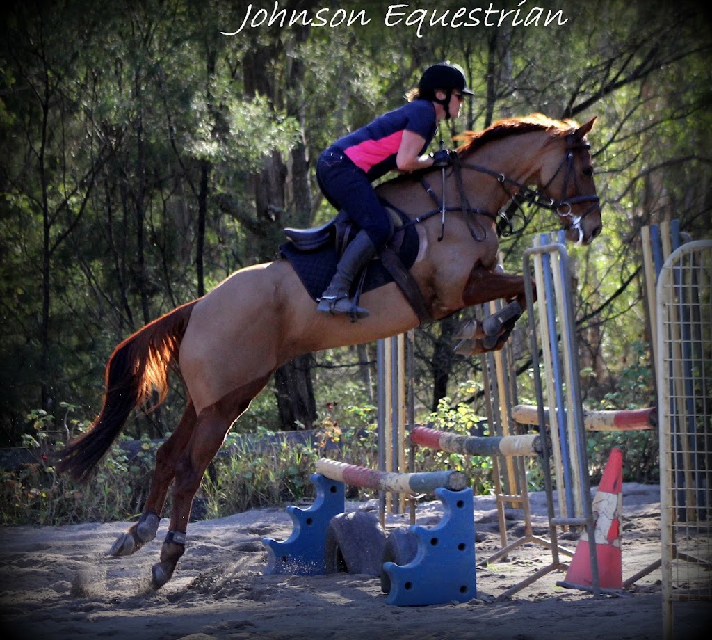 Pearson Equine | 514 Middle Arm Rd, Goulburn NSW 2580, Australia | Phone: 0403 733 125