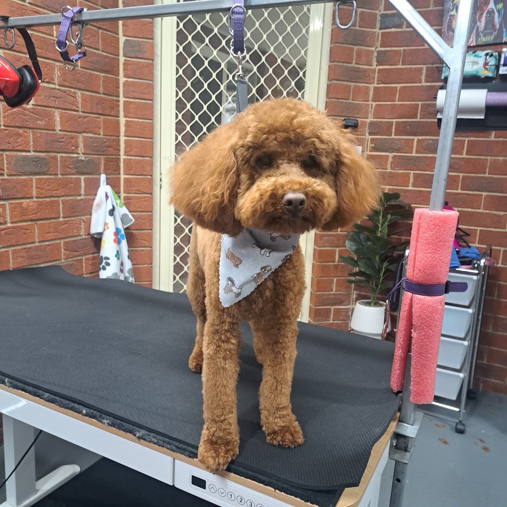 Pawlenes Pooches | 14 Little Chipping Dr, Chirnside Park VIC 3116, Australia | Phone: 0493 729 636