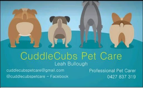 CuddleCubs Pet Care |  | 123 Balgownie Rd, Balgownie NSW 2519, Australia | 0427837319 OR +61 427 837 319
