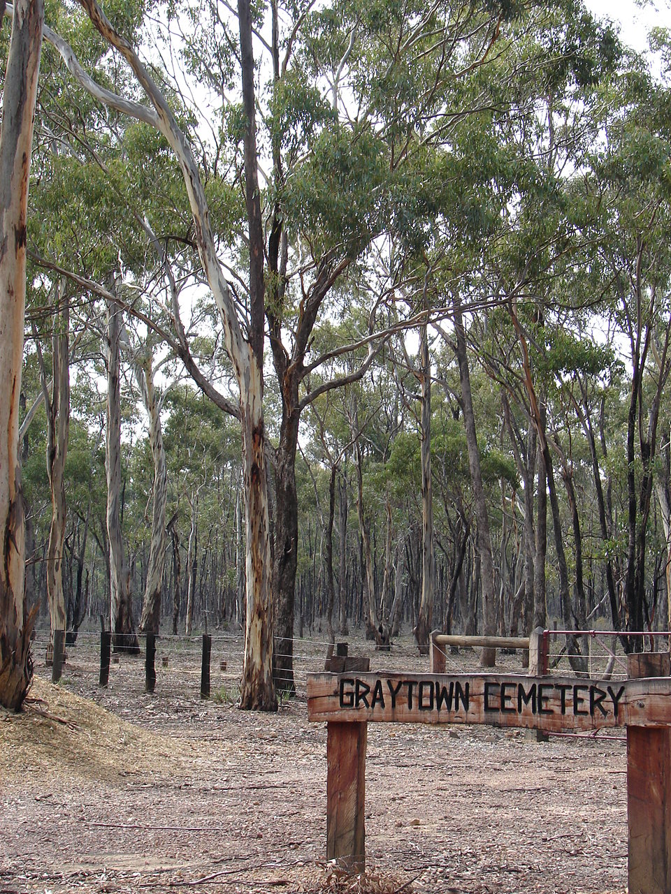 Graytown Cemetery Reserve | Graytown VIC 3608, Australia