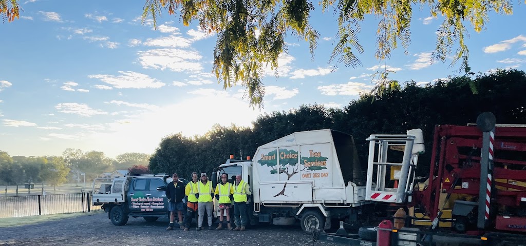 Smart Choice Tree Services | 46 Oakhole Rd, Goondiwindi QLD 4390, Australia | Phone: 0407 252 047