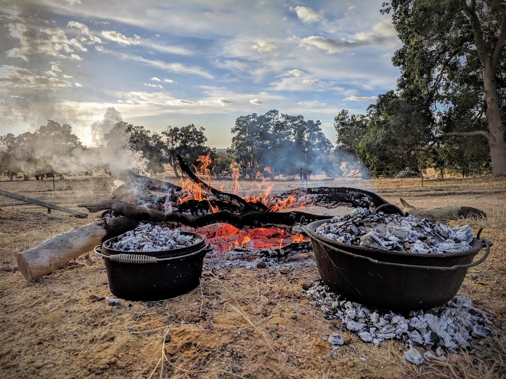 Jacaranda Hill Farm | 192 Morrell Rd, Fairbridge WA 6208, Australia | Phone: 0419 482 687