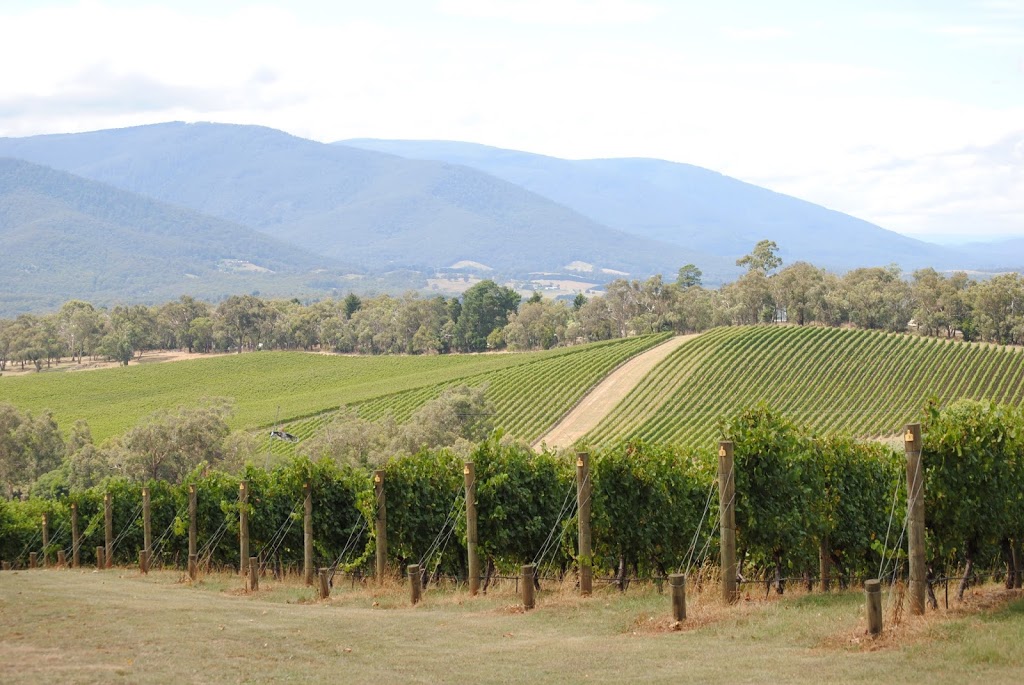 Dreamscape Winery Tours | travel agency | Park Rd, Park Orchards VIC 3114, Australia | 0398441122 OR +61 3 9844 1122