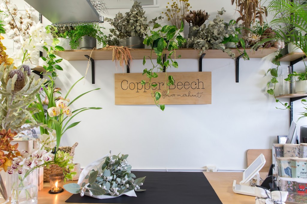 Copper Beech, The Flower Merchant | 70 Wanganella St, Balgowlah NSW 2093, Australia | Phone: (02) 8964 1751