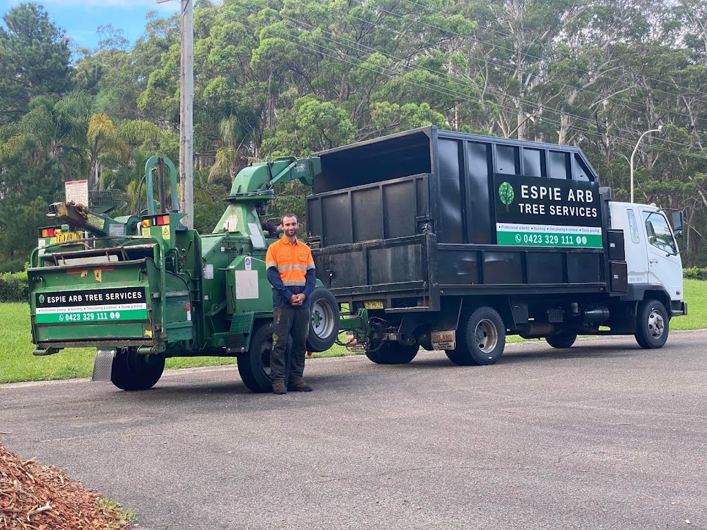 Espie Arb Tree Services | 286 Ocean Dr, Lakewood NSW 2443, Australia | Phone: 0423 329 111