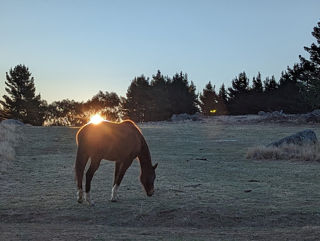 Observatory Hill Farm | 6/5050 The Snowy River Way, Dalgety NSW 2628, Australia | Phone: 0404 852 676