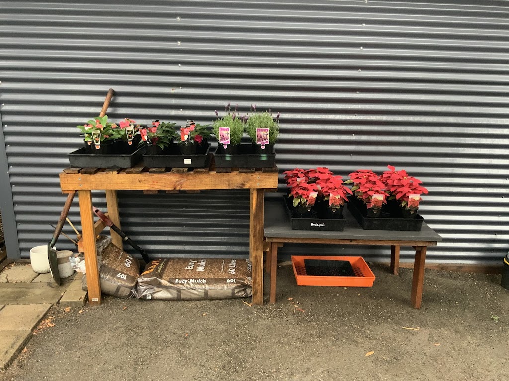AWABAKAL NURSERY and Landscaping Services | 21 Mimosa Rd, Budgewoi NSW 2262, Australia | Phone: 0488 684 150