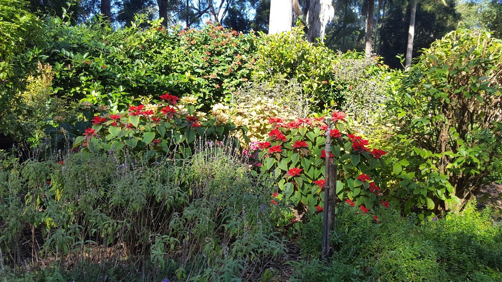 Botanic Gardens Parking | parking | Coffs Harbour NSW 2450, Australia