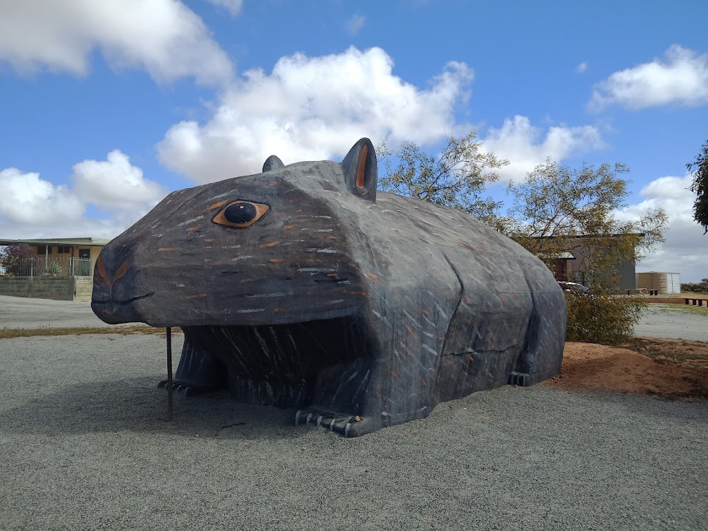 Scotdesco | Eyre Hwy, Bookabie SA 5690, Australia | Phone: (08) 8625 6222
