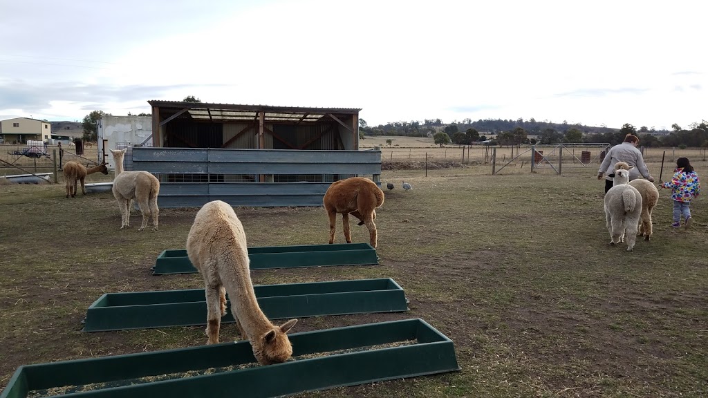 Toffeemont Alpacas | travel agency | 53 Orielton Rd, Orielton TAS 7172, Australia | 0428939979 OR +61 428 939 979