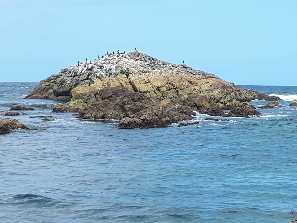 Sandy Creek Walking Track | Sandy Creek loop trail, Bournda NSW 2548, Australia