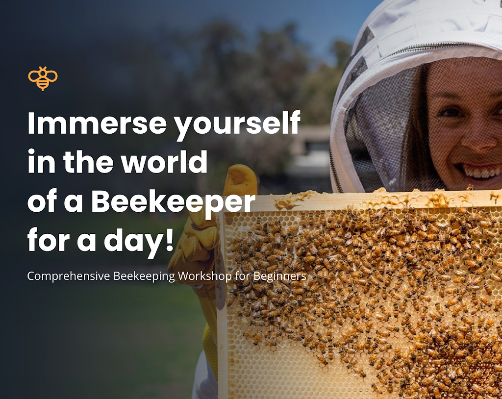 Beekeeping Apprentice | 13 Spectacular Ave, Doreen VIC 3754, Australia | Phone: 0412 742 006