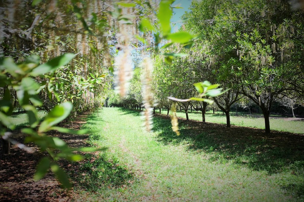 Hidden Valley @ Gro Mad Plantations | campground | 180 Yandina Bli Bli Rd, Maroochy River QLD 4561, Australia | 0432040751 OR +61 432 040 751