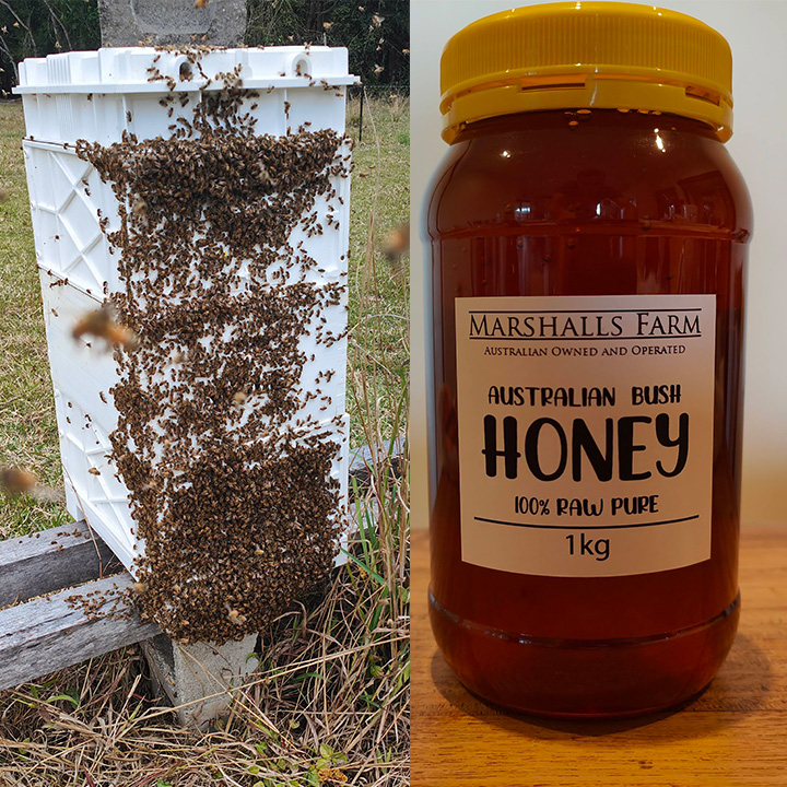 Marshalls Farm | 347 Pottsville Rd, Sleepy Hollow NSW 2483, Australia | Phone: (02) 6677 1133