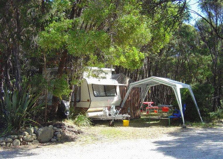 Crayfish Creek Van & Cabin Park & Spa Treehouse | rv park | 20049 Bass Hwy, Crayfish Creek TAS 7321, Australia | 0364434228 OR +61 3 6443 4228