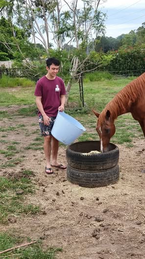 Lukes pet sitting Brisbane Northside | Jayleigh Ct, Morayfield QLD 4506, Australia | Phone: 0414 672 586