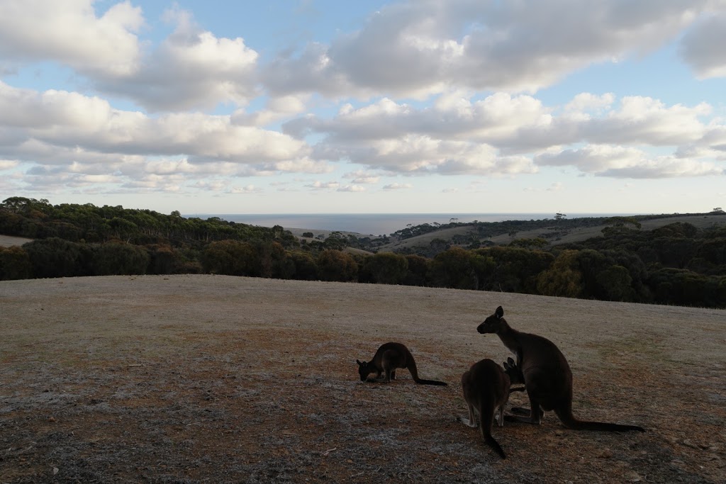 Lathami Lodge | lodging | Stokes Bay Road, Stokes Bay SA 5223, Australia | 0888234043 OR +61 8 8823 4043