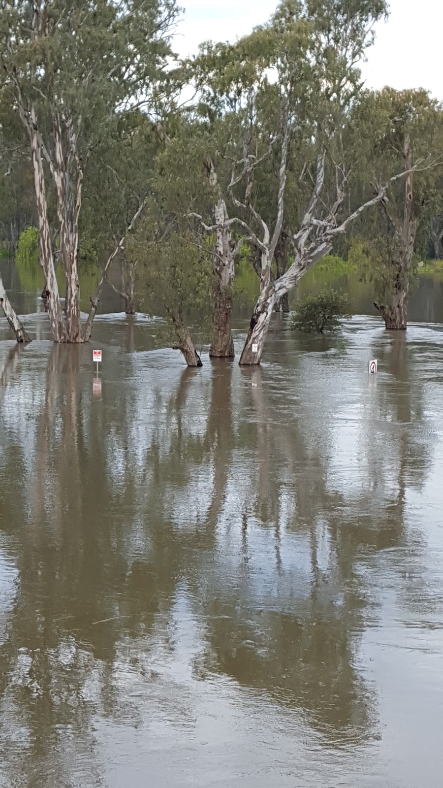 Ball Park Caravan Park | Bridge Rd, Corowa NSW 2646, Australia | Phone: (02) 6033 1426