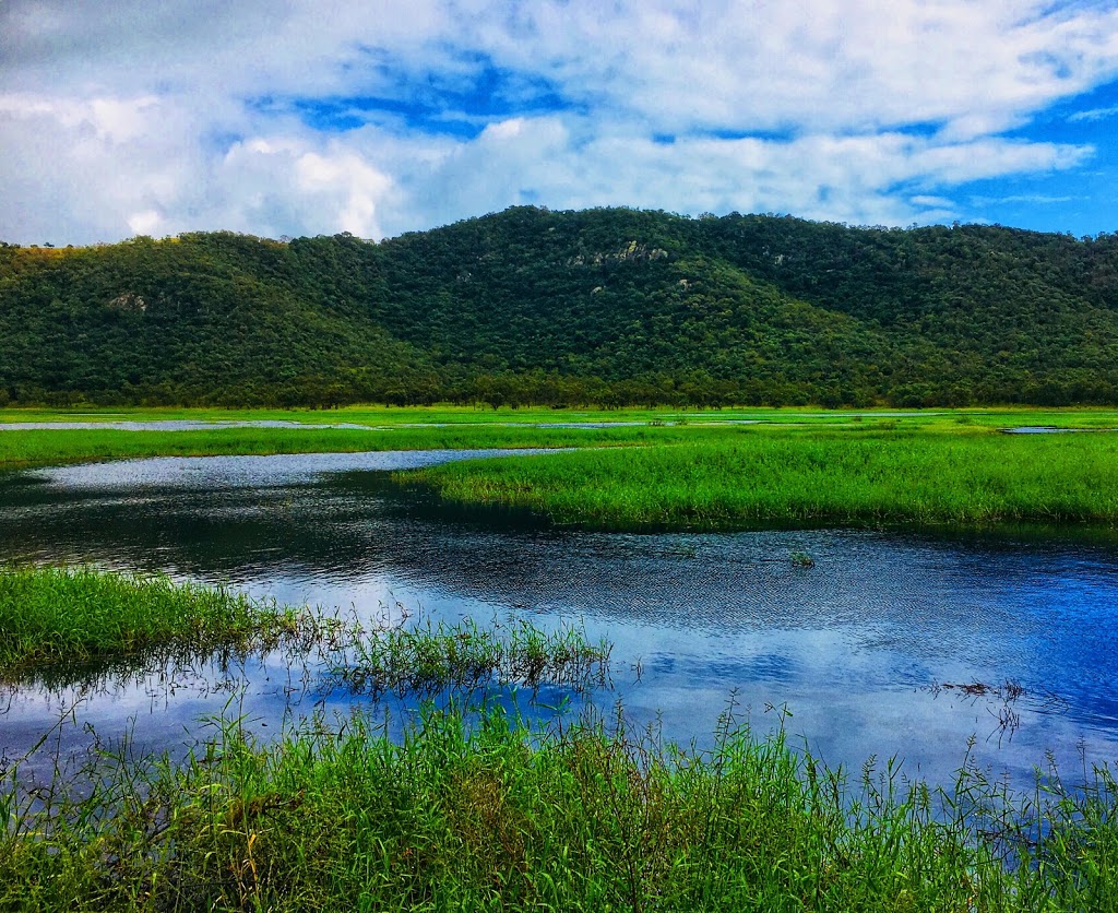 Townsville Town Common Conservation Park | park | Cape Pallarenda Rd, Town Common QLD 4810, Australia