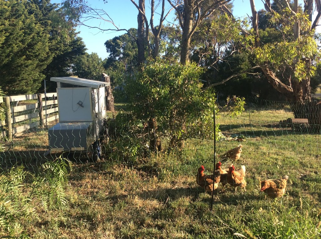 Edds Moveable Chook Sheds | 890 Reservoir Rd, Mount Moriac VIC 3240, Australia | Phone: 0408 661 148