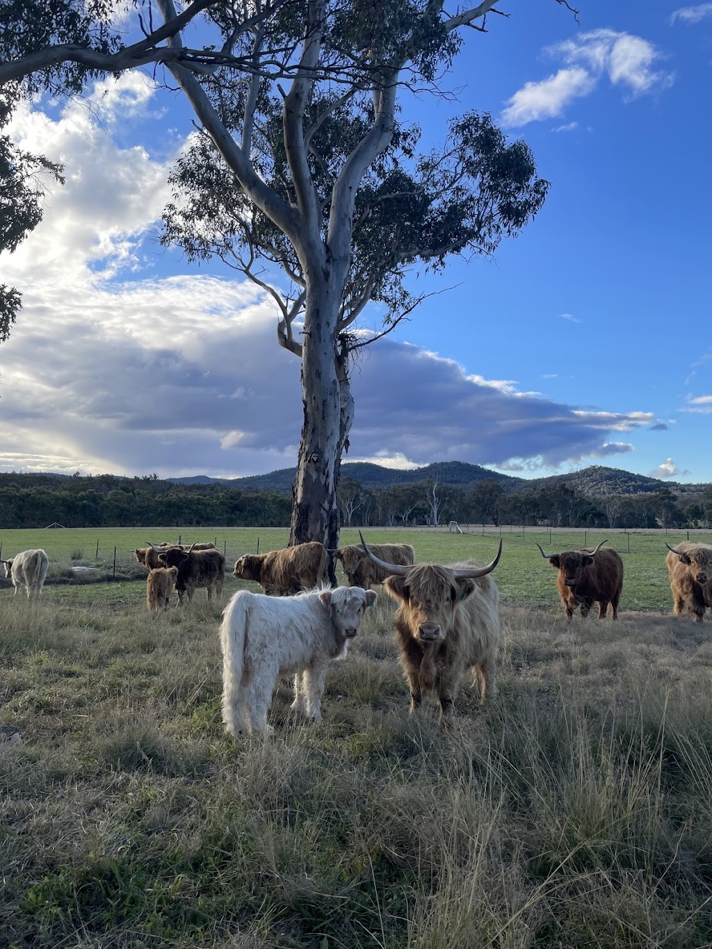 Rock Pool Park | 28064 New England Hwy, Ballandean QLD 4382, Australia | Phone: (07) 5641 0291