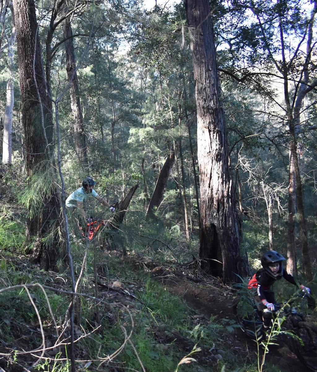 Kamameja MTB | Bulga Trail, Dural NSW 2330, Australia | Phone: 0427 500 170