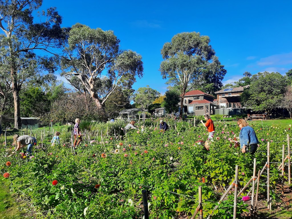 Harvest Homestead | 229 Glenfern Rd, Upwey VIC 3158, Australia | Phone: 0477 733 881