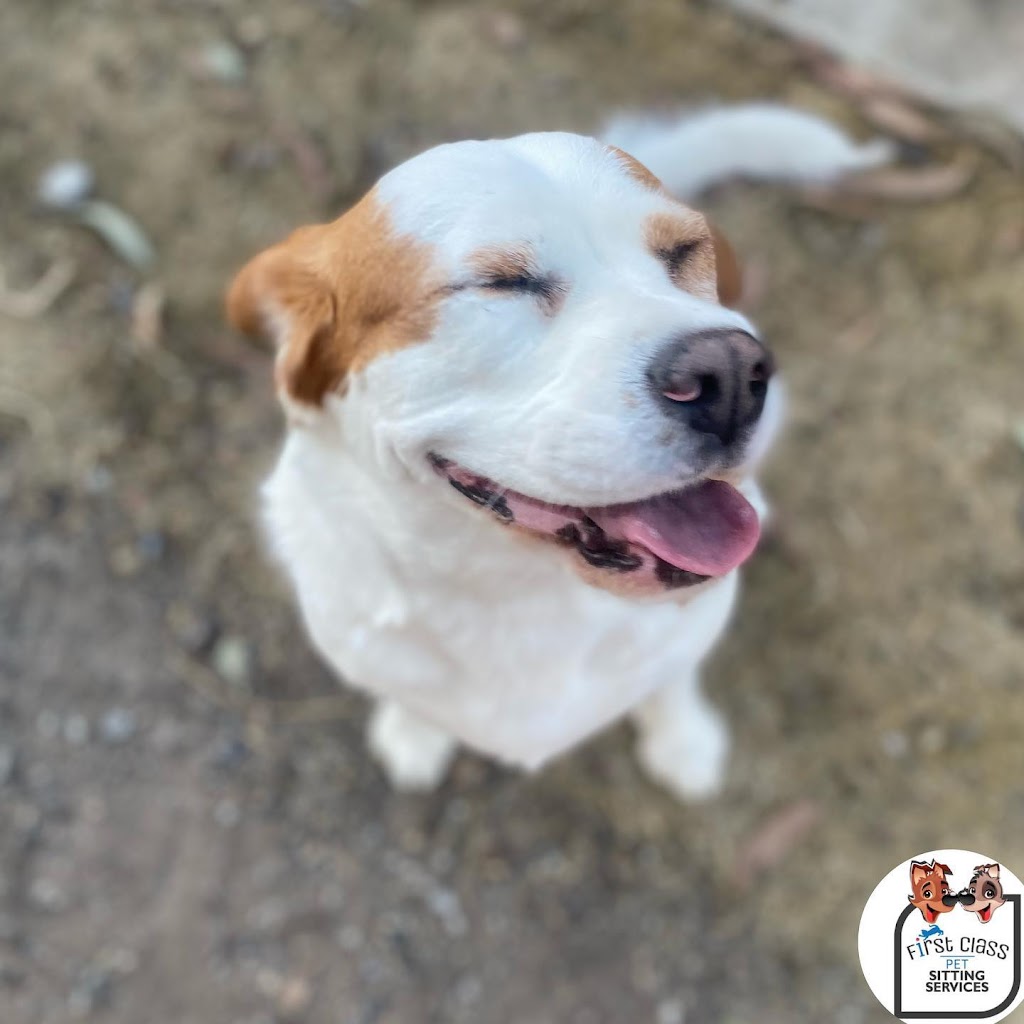 First Class Pet Services | Bushman Dr, Flagstone QLD 4280, Australia | Phone: 1800 738 748
