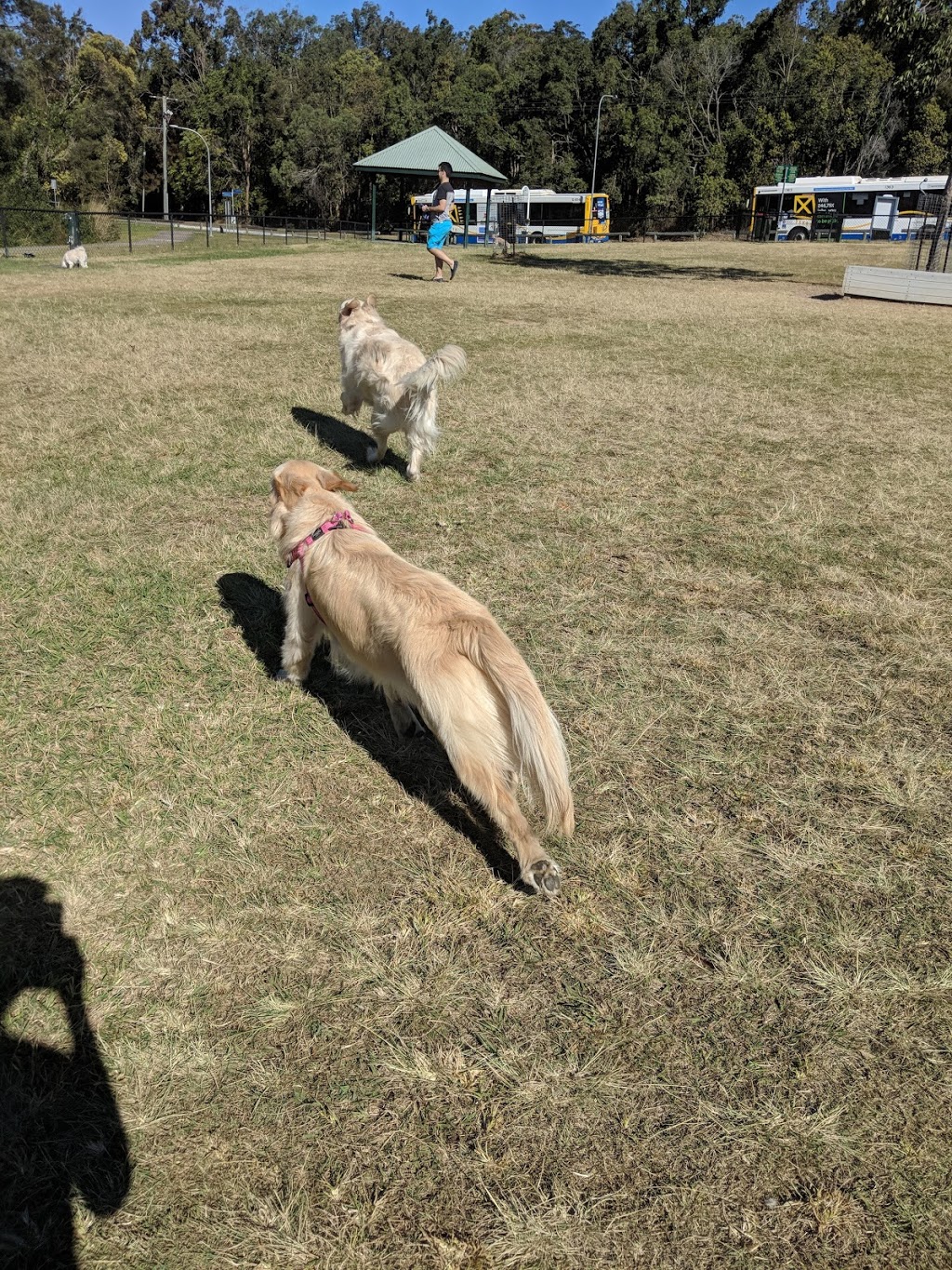 Newbury Place Park | 61A Cribb Rd, Carindale QLD 4152, Australia | Phone: (07) 3403 8888