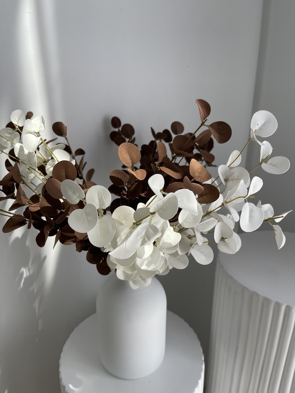 Olympus Studio | Unit 1/42 Jack Williams Dr, Penrith NSW 2750, Australia | Phone: 0450 137 848