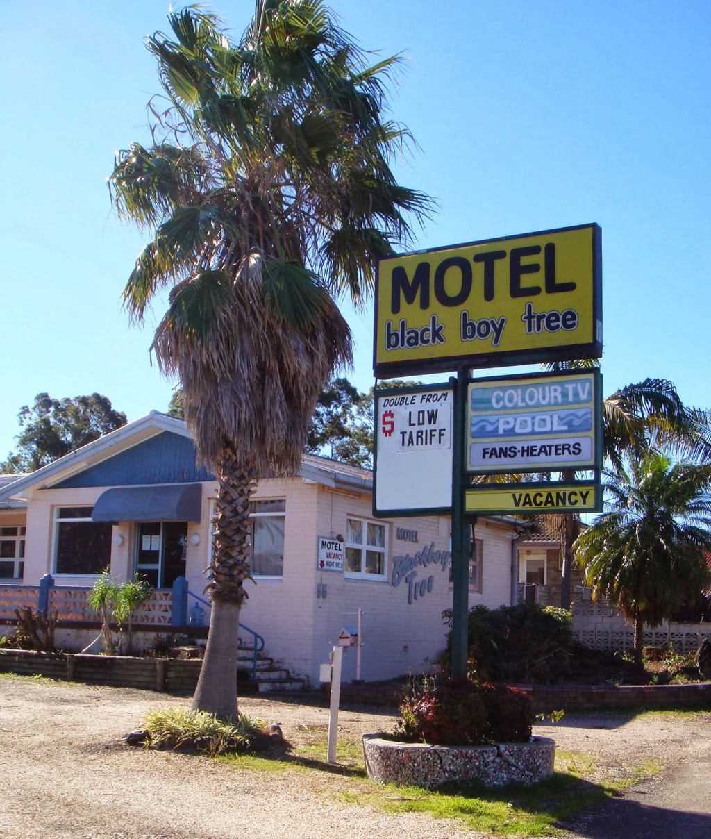 Blackboy Tree Motel | lodging | 55/57 Chatham Ave, Taree NSW 2430, Australia