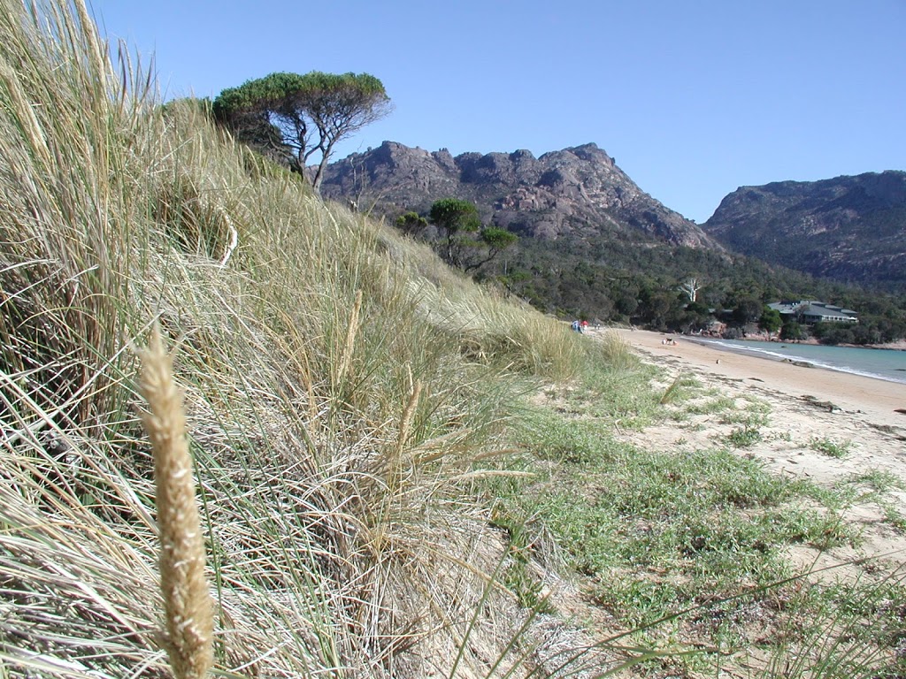 Freycinet National Park’s campground | campground | Freycinet TAS 7215, Australia | 0362567004 OR +61 3 6256 7004