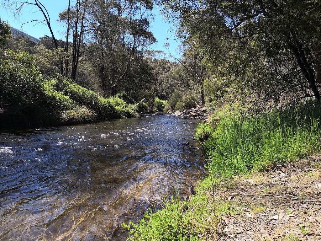 Walnuts Campground | campground | 6961 Omeo Hwy, Mitta Mitta VIC 3701, Australia