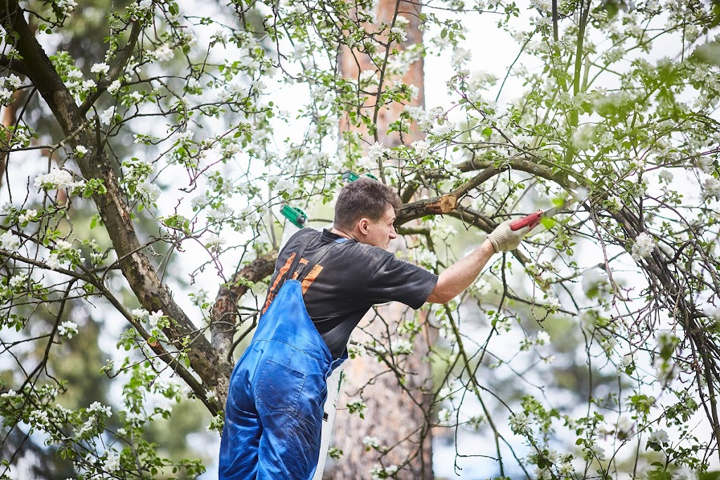 The Tree Services Moggill | 3366 Moggill Rd, Moggill QLD 4070, Australia | Phone: (07) 3608 1855