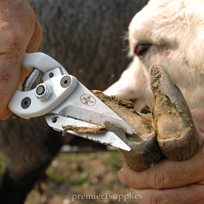 Jonos Sheep Shearing Services | Junction Rd, Littlehampton SA 5250, Australia | Phone: 0424 723 589