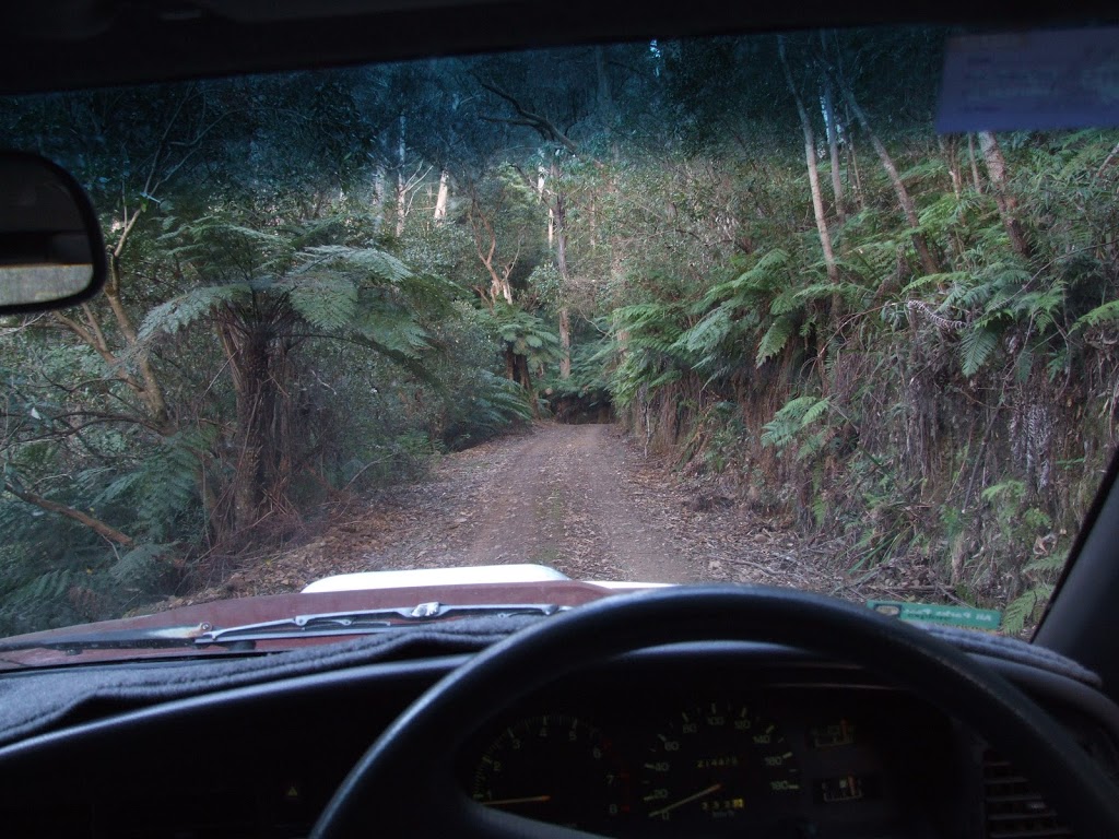 Lake Creek Camping Area | Bourkes Rd, Wadbilliga NSW 2546, Australia