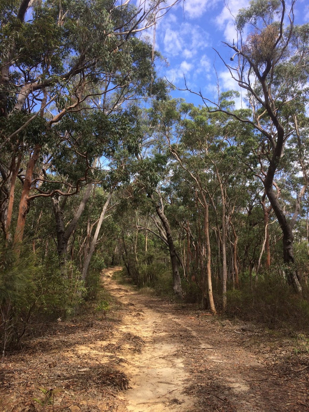 Bunjaree Cottages | 62-64 Railway Parade, Wentworth Falls NSW 2782, Australia | Phone: 0409 125 744