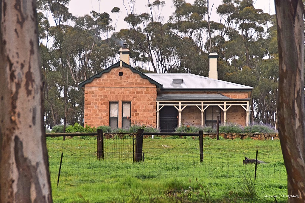 The Pines Reserve | park | Tarlee Rd, Kapunda SA 5373, Australia