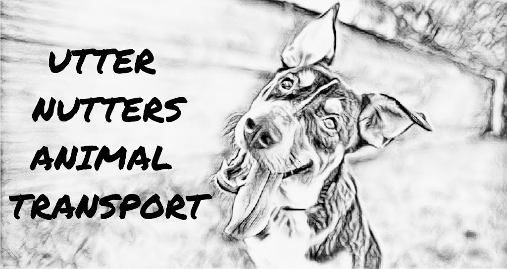 Utter Nutters Animal Transport | 90 Hope St, Bunyip VIC 3815, Australia | Phone: 0497 265 601