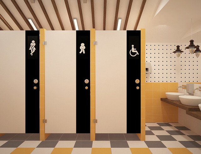 Downey toilet | 197 Blaxland Rd, Dalby QLD 4405, Australia | Phone: 0487 874 187