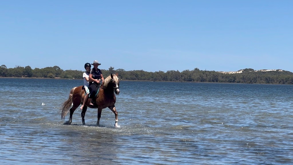 Parkfield Equestrian | travel agency | Lot 630 Cathedral Ave, 47 Lofthouse Dr, Leschenault WA 6233, Australia | 0424415999 OR +61 424 415 999