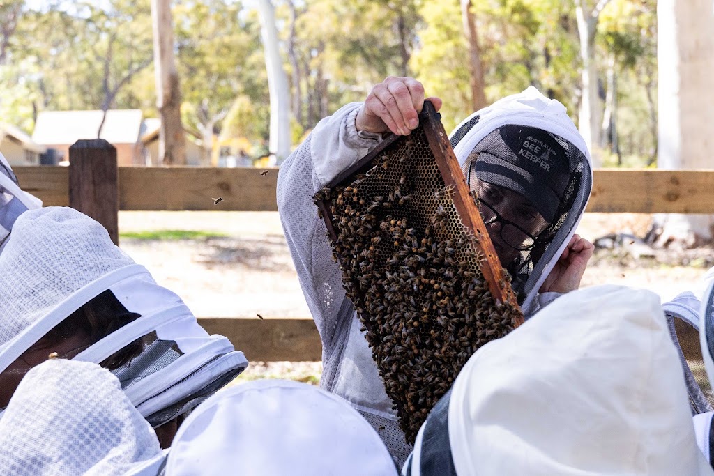 The Apiary at Bay and Bush Jervis Bay | 21 Pritchard Ave, Woollamia NSW 2540, Australia | Phone: (02) 4444 6879