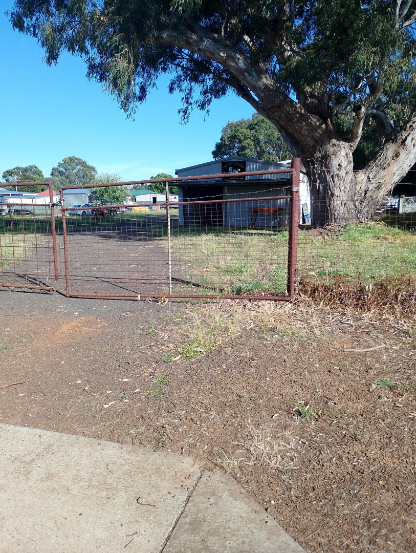 The Chook Shop | 12 Murray St, Casterton VIC 3311, Australia | Phone: 0401 203 447