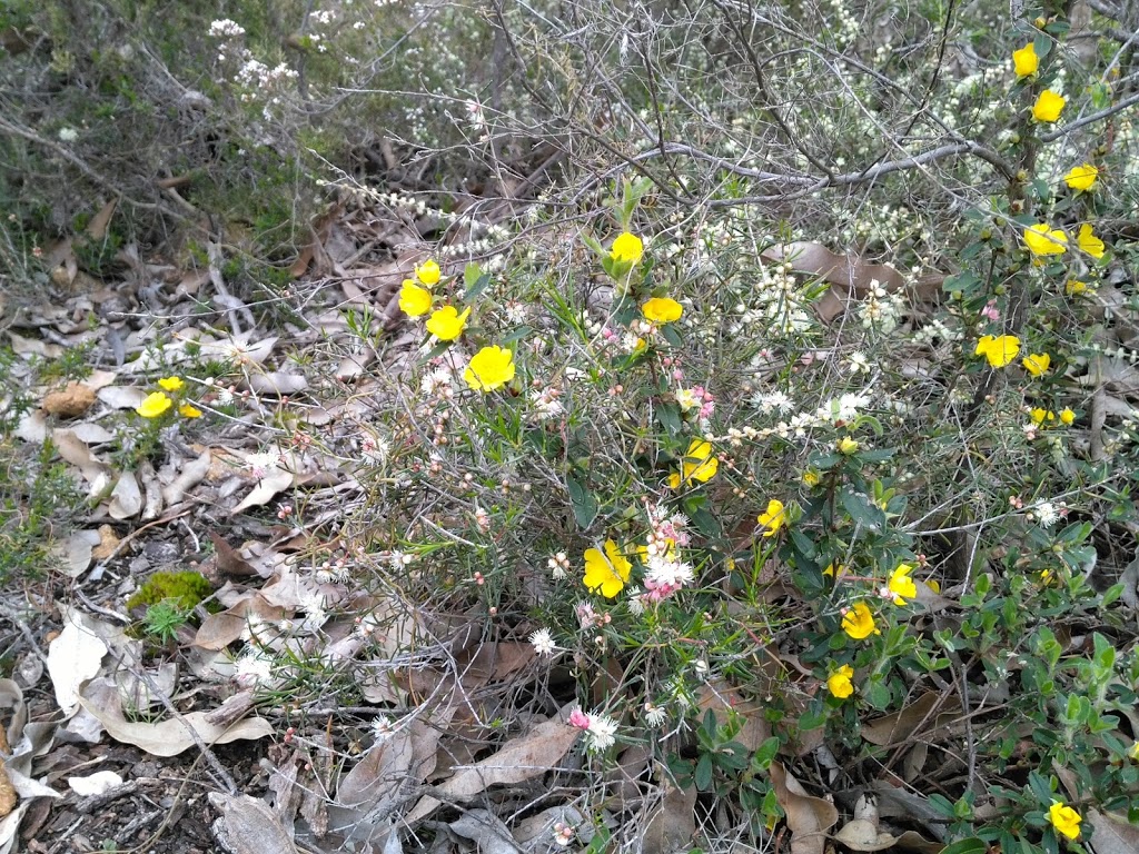 Baldwins lookout trail | Serpentine WA 6125, Australia